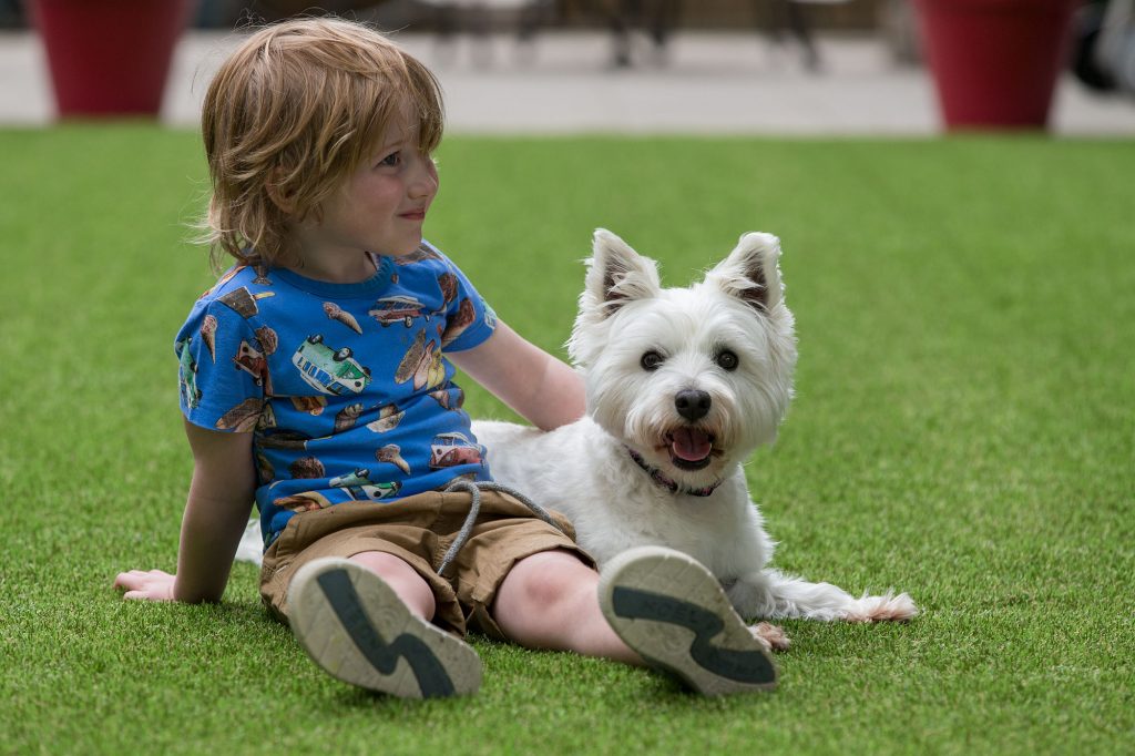 Small child with dog on fake grass