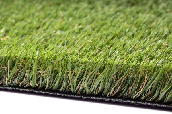 Lush grass 2022