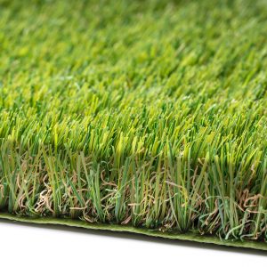 Eco eco friendly grass buzzgrass