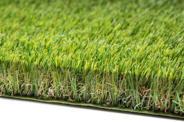Eco eco friendly grass buzzgrass